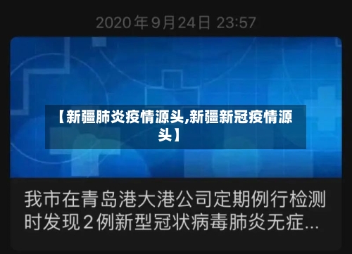 【新疆肺炎疫情源头,新疆新冠疫情源头】-第2张图片