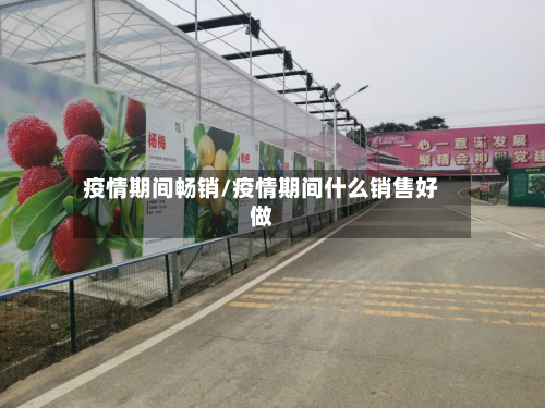 疫情期间畅销/疫情期间什么销售好做-第1张图片