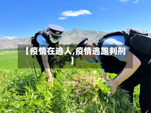 【疫情在逃人,疫情逃跑判刑】-第1张图片