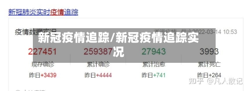 新冠疫情追踪/新冠疫情追踪实况-第1张图片
