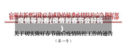 疫情等到春(疫情到春节会好吗)-第1张图片