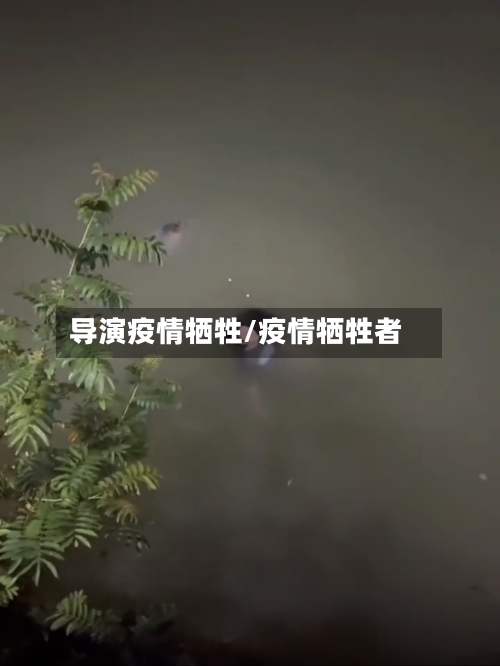 导演疫情牺牲/疫情牺牲者-第1张图片
