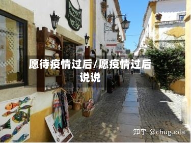 愿待疫情过后/愿疫情过后说说-第3张图片
