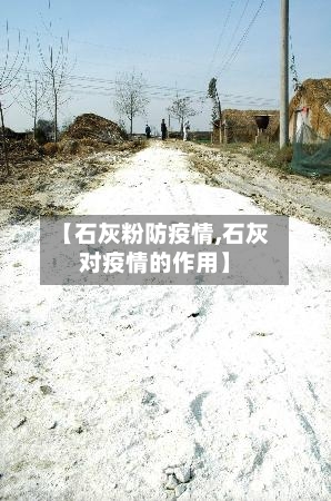 【石灰粉防疫情,石灰对疫情的作用】-第2张图片