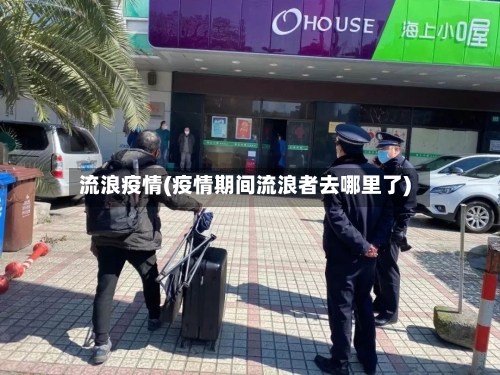 流浪疫情(疫情期间流浪者去哪里了)-第1张图片