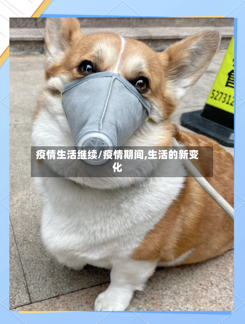 疫情生活继续/疫情期间,生活的新变化-第2张图片