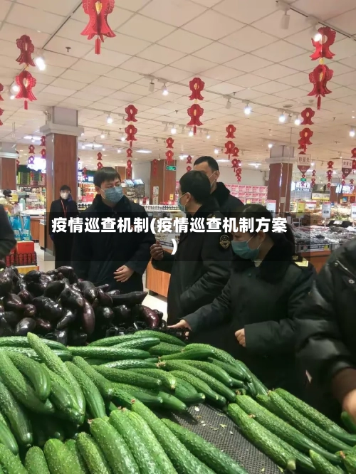 疫情巡查机制(疫情巡查机制方案)-第3张图片