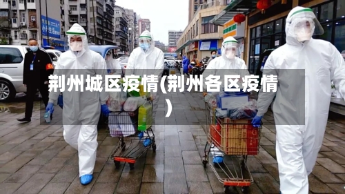 荆州城区疫情(荆州各区疫情)-第1张图片