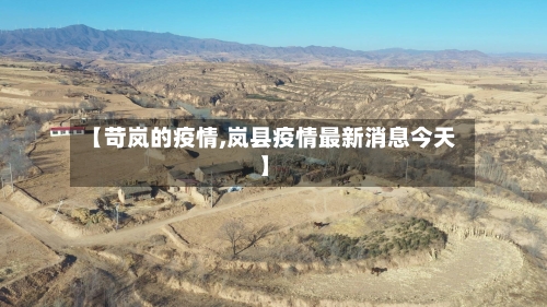 【苛岚的疫情,岚县疫情最新消息今天】-第2张图片