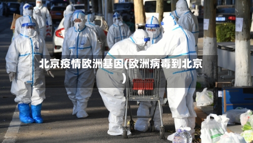 北京疫情欧洲基因(欧洲病毒到北京)-第1张图片