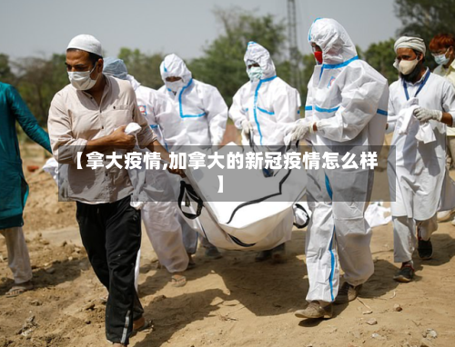 【拿大疫情,加拿大的新冠疫情怎么样】-第2张图片