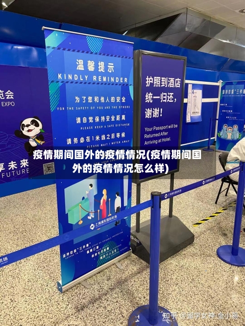 疫情期间国外的疫情情况(疫情期间国外的疫情情况怎么样)-第1张图片