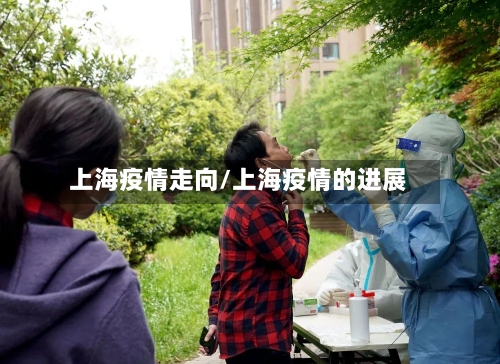 上海疫情走向/上海疫情的进展-第1张图片