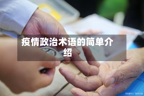 疫情政治术语的简单介绍-第1张图片