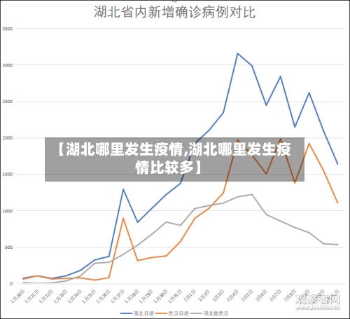 【湖北哪里发生疫情,湖北哪里发生疫情比较多】-第1张图片