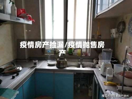 疫情房产捡漏/疫情抛售房产-第3张图片
