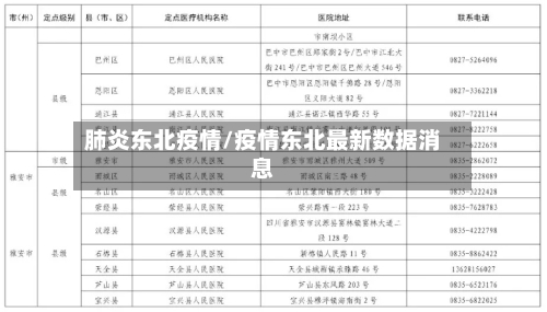 肺炎东北疫情/疫情东北最新数据消息-第2张图片
