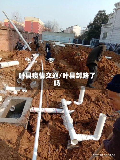 叶县疫情交通/叶县封路了吗-第1张图片