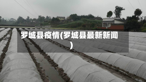 罗城县疫情(罗城县最新新闻)-第2张图片