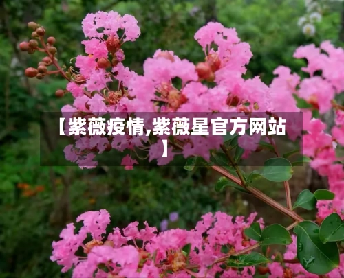 【紫薇疫情,紫薇星官方网站】-第1张图片
