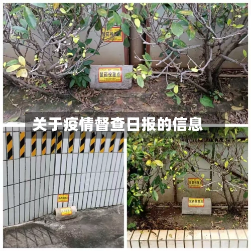 关于疫情督查日报的信息-第1张图片