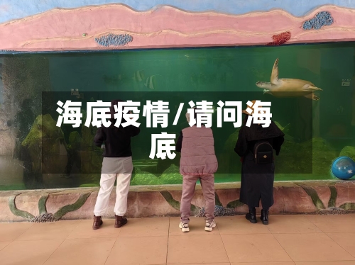 海底疫情/请问海底-第1张图片