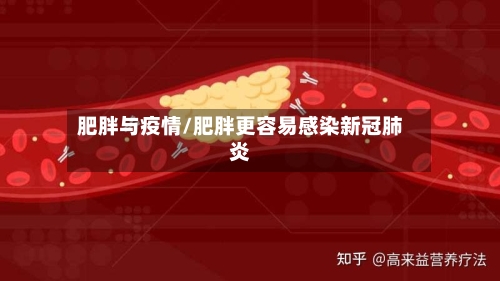 肥胖与疫情/肥胖更容易感染新冠肺炎-第2张图片