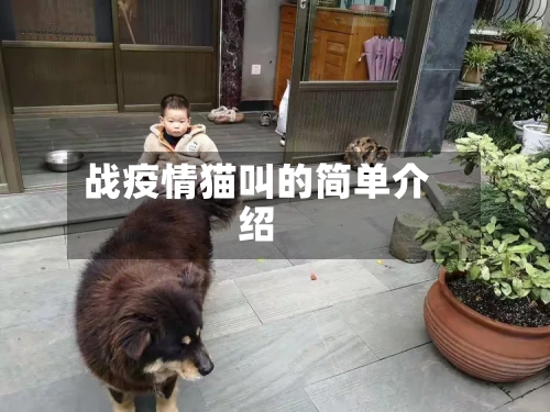 战疫情猫叫的简单介绍-第1张图片