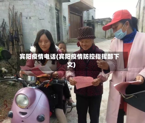 宾阳疫情电话(宾阳疫情防控指挥部下文)-第2张图片