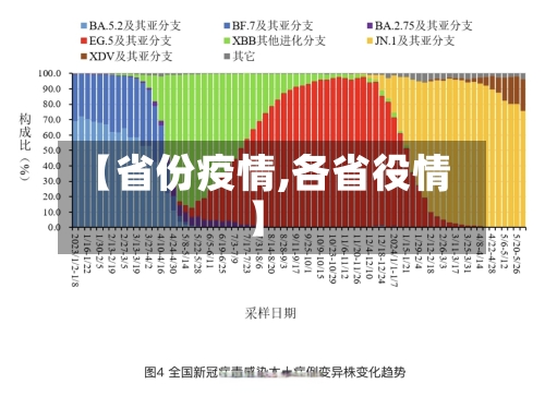 【省份疫情,各省役情】-第3张图片