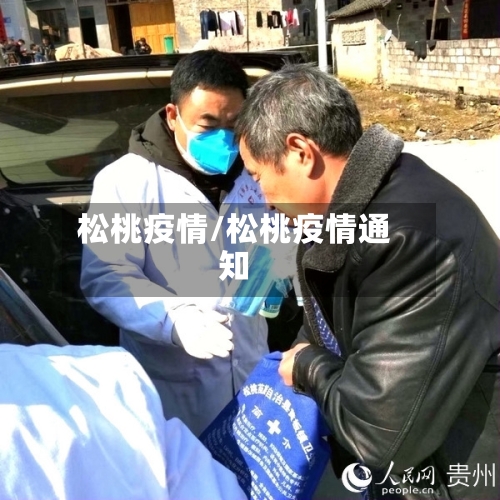 松桃疫情/松桃疫情通知-第3张图片