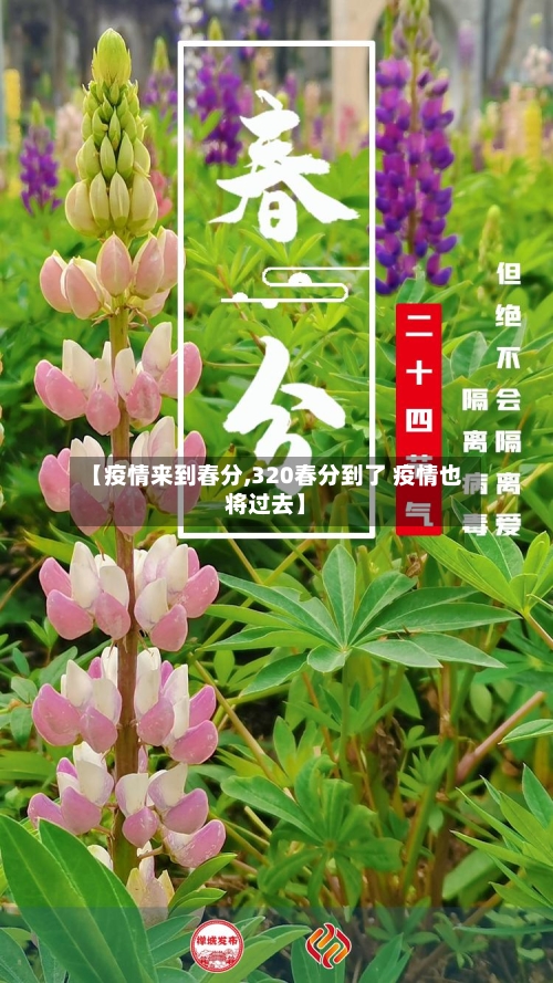 【疫情来到春分,320春分到了 疫情也将过去】-第1张图片