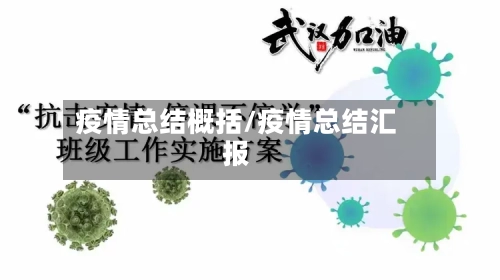 疫情总结概括/疫情总结汇报-第3张图片