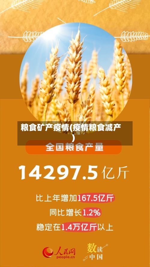 粮食矿产疫情(疫情粮食减产)-第3张图片