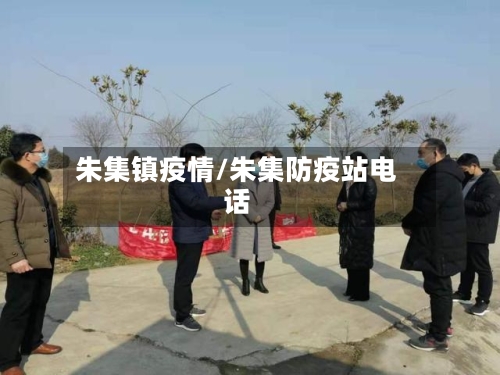 朱集镇疫情/朱集防疫站电话-第1张图片