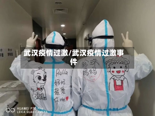 武汉疫情过激/武汉疫情过激事件-第2张图片