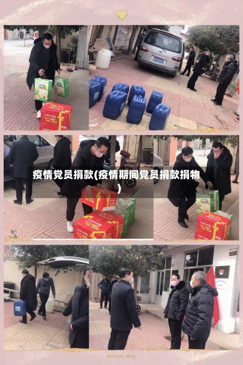疫情党员捐款(疫情期间党员捐款捐物)-第2张图片