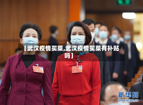 【武汉疫情买菜,武汉疫情买菜有补贴吗】-第2张图片