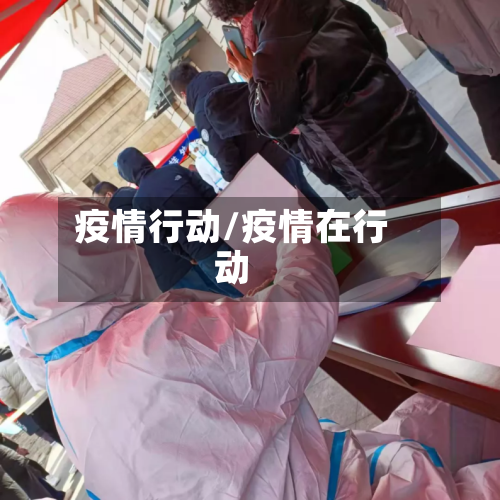 疫情行动/疫情在行动-第1张图片