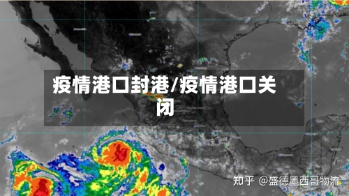 疫情港口封港/疫情港口关闭-第2张图片