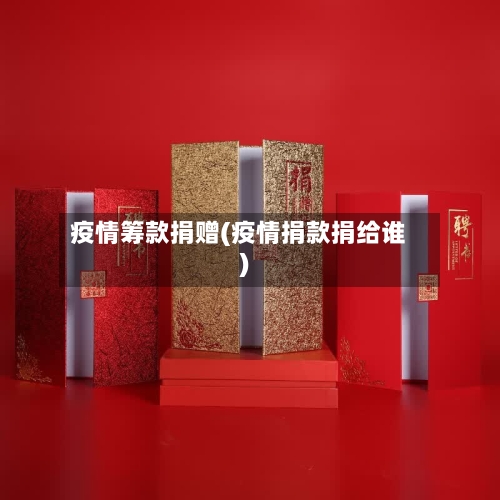 疫情筹款捐赠(疫情捐款捐给谁)-第2张图片