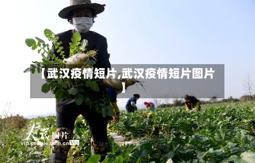 【武汉疫情短片,武汉疫情短片图片】-第3张图片