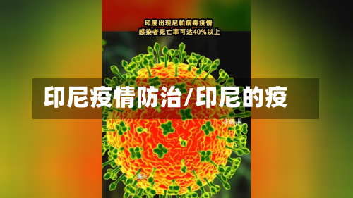 印尼疫情防治/印尼的疫-第1张图片