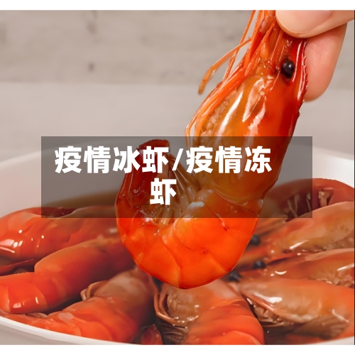 疫情冰虾/疫情冻虾-第1张图片