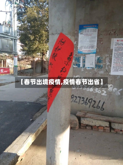 【春节出境疫情,疫情春节出省】-第1张图片