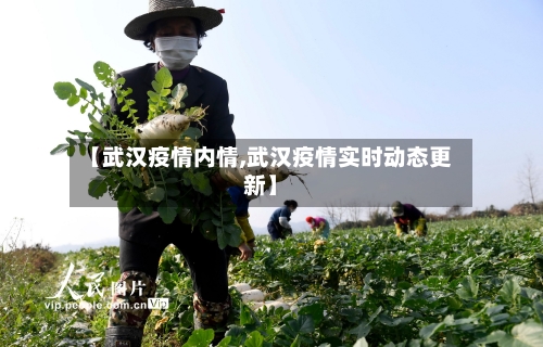 【武汉疫情内情,武汉疫情实时动态更新】-第2张图片