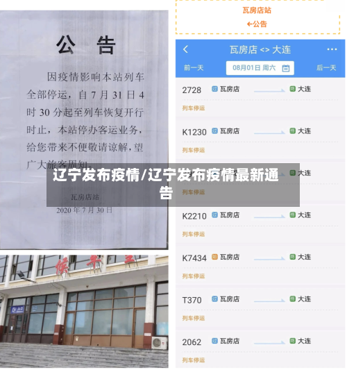 辽宁发布疫情/辽宁发布疫情最新通告-第2张图片