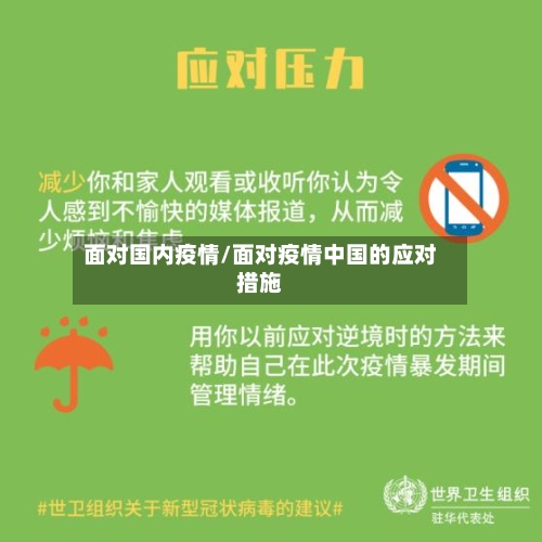 面对国内疫情/面对疫情中国的应对措施-第2张图片