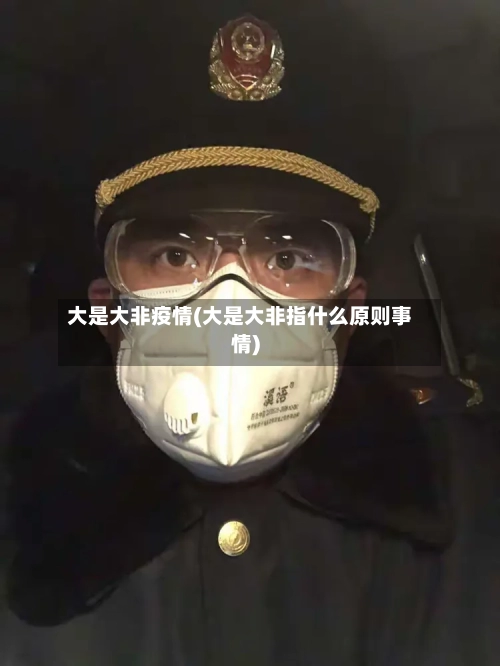 大是大非疫情(大是大非指什么原则事情)-第1张图片