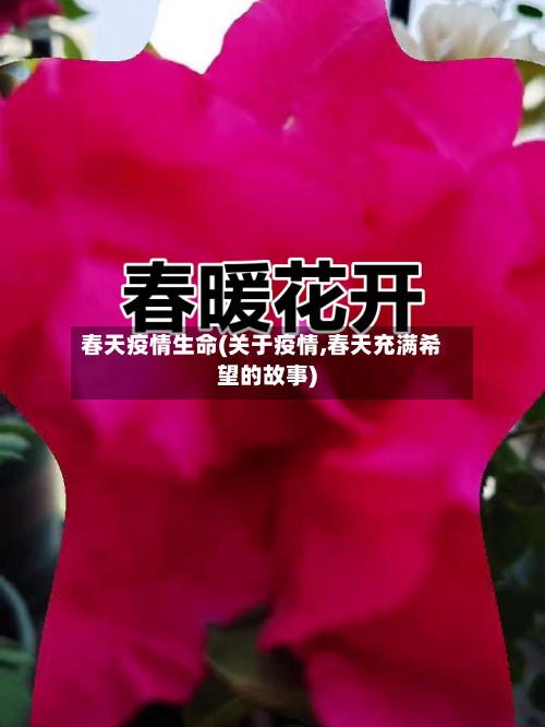 春天疫情生命(关于疫情,春天充满希望的故事)-第3张图片
